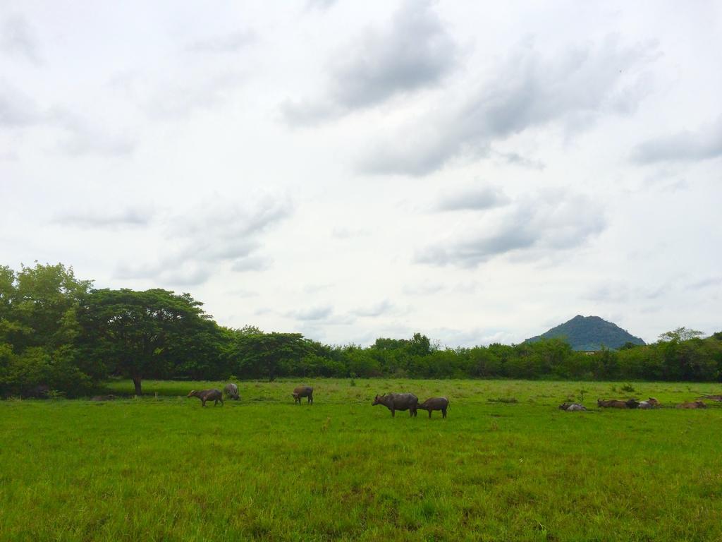 Wanlapa Farmstay Ban Khok Krathiam Exterior foto