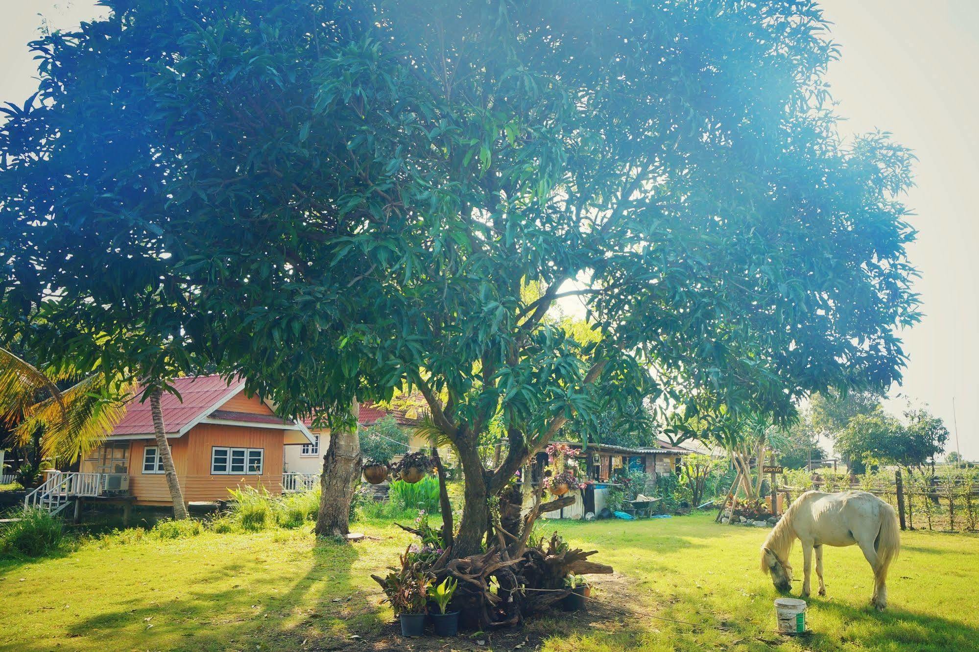 Wanlapa Farmstay Ban Khok Krathiam Exterior foto
